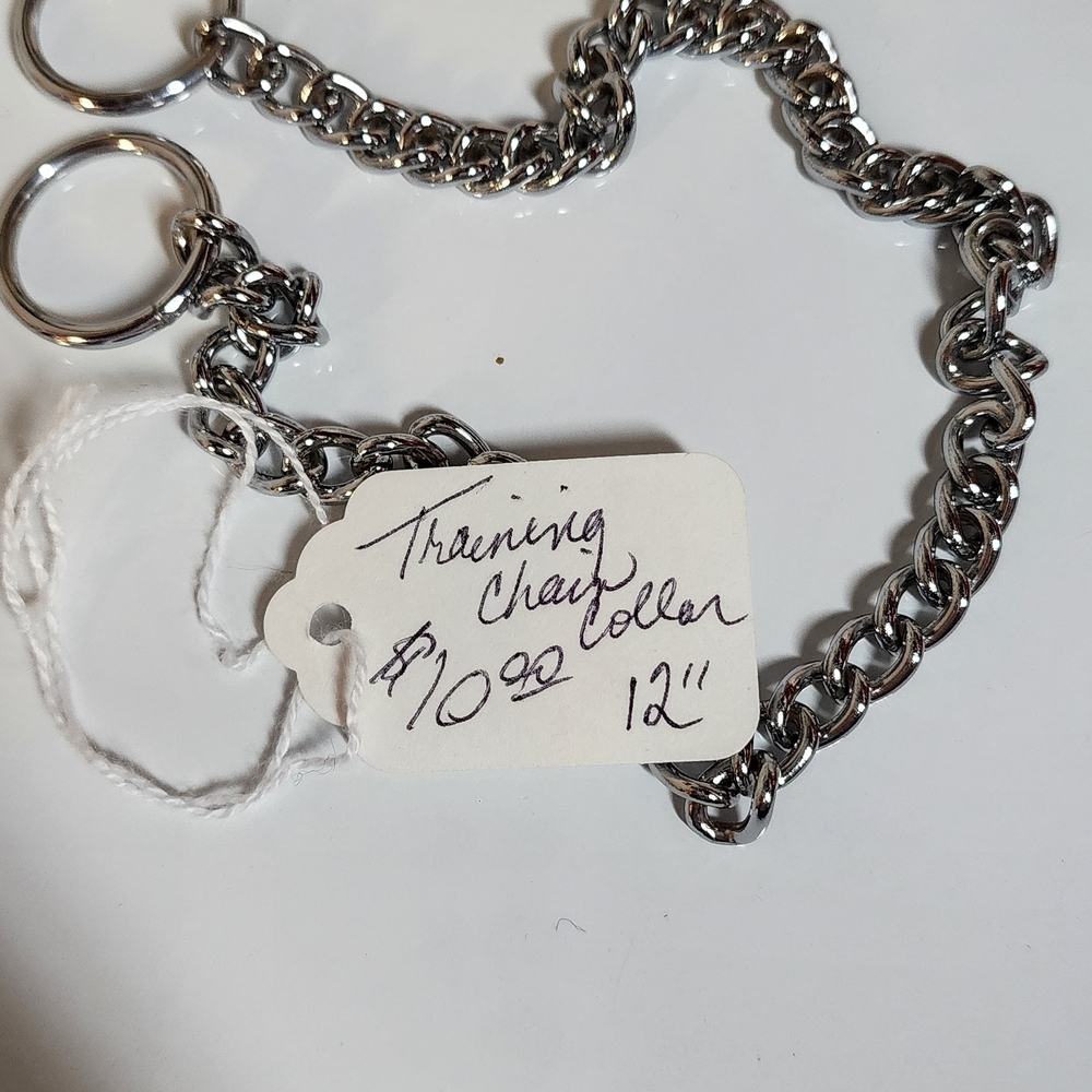 Silver Training Chain Collar